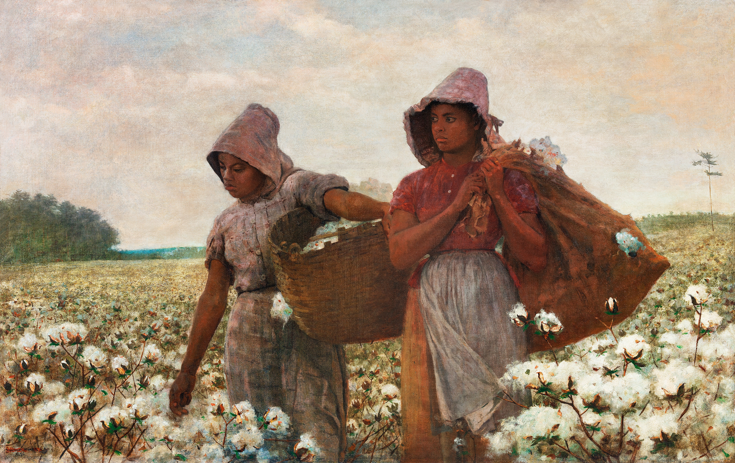 The Cotton Pickers